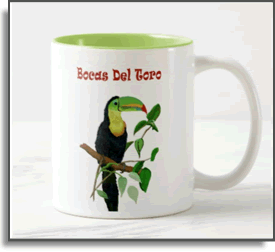 Coffee Mug Rain Forest  Toucan